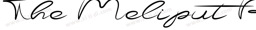 The Meliput Regular字体转换